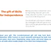The gift of Skills for Independence - Ramp - Image 3